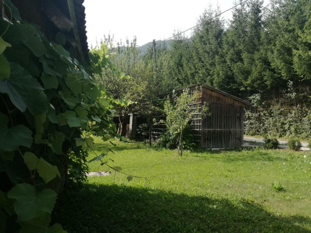 Apartment House Andrej Bohinj Eksteriør billede